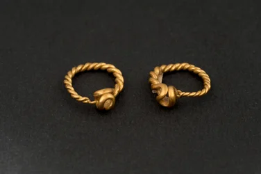 Pair of Earrings